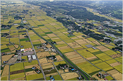 遊休農地